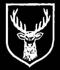 31. SS Freiwilligen Grenadier Division
Znak 31. SS Freiwilligen Grenadier Division
