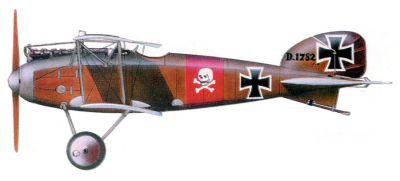 Albatros D.II

