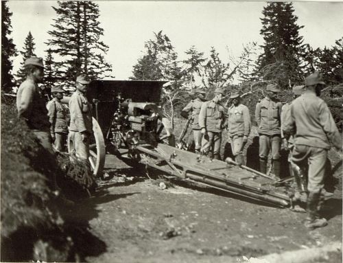 10,4cm těžký polní kanon vz. 1915 Škoda (10,4cm schwere Feldkanone M15)
