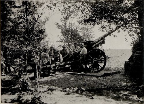 10,4cm těžký polní kanon vz. 1915 Škoda (10,4cm schwere Feldkanone M15)
