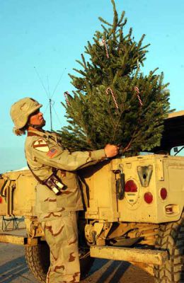 Click photo for screen-resolution image	Army Sgt. Maj. Della St. Louis, operations sergeant major for Headquarters Company, 4th Brigade Combat Team, 1st Cavalry Division, takes her real Christmas tree on a tour of Camp Taji, Iraq, to have soldiers of the camp help decorate it. Photo by Cpl. Benjamin Cossel, USA  
Zdroj: defense.gov
