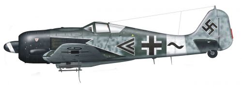 Focke Wulf Fw 190
Focke Wulf Fw 190 A-8/R8 vyzbrojený dvěmi kanony MK 108
Klíčová slova: fw190