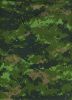 CADPAT_digital_camouflage_pattern_28Temperate_Woodland_variant29.jpg