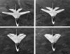 F-111A_Wing_Sweep_Sequence.jpg