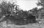 PzKpfw__V_Panther_Ausf__G_v_bocage.jpg