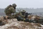 _Sky_Soldiers__test_team_cohesion_in_Estonia_161117-A-DP178-045.jpg