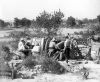 French_75_gun_at_Cape_Helles_1915.jpg