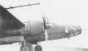 Ki-67-6.jpg