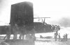 Ki-67-61.jpg