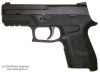 sig_p250dcc-1.jpg