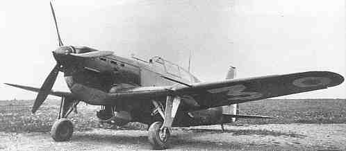 MS406-009.jpg