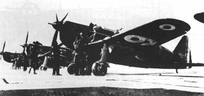 MS406-027.jpg