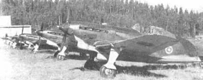 MS406-003.jpg