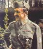 mannerheim-color-small.jpg