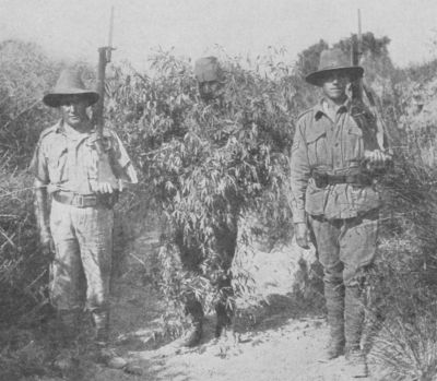 Turecký sniper maskovaný jako keř zajatý dvěma vojáky ANZACs, Gallipoli 1915
Klíčová slova: gallipoli
