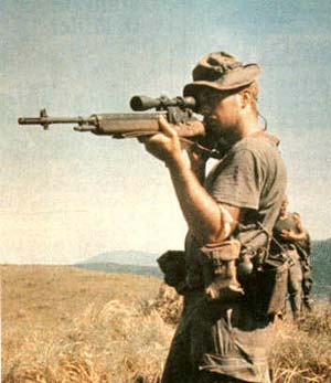 m-14.jpg