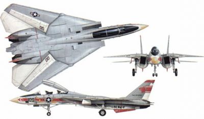 F-14 Tomcat  04
