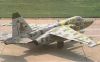 czech_tankobijec_s_Su-25_03.jpg