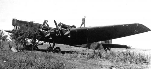 TB-3
